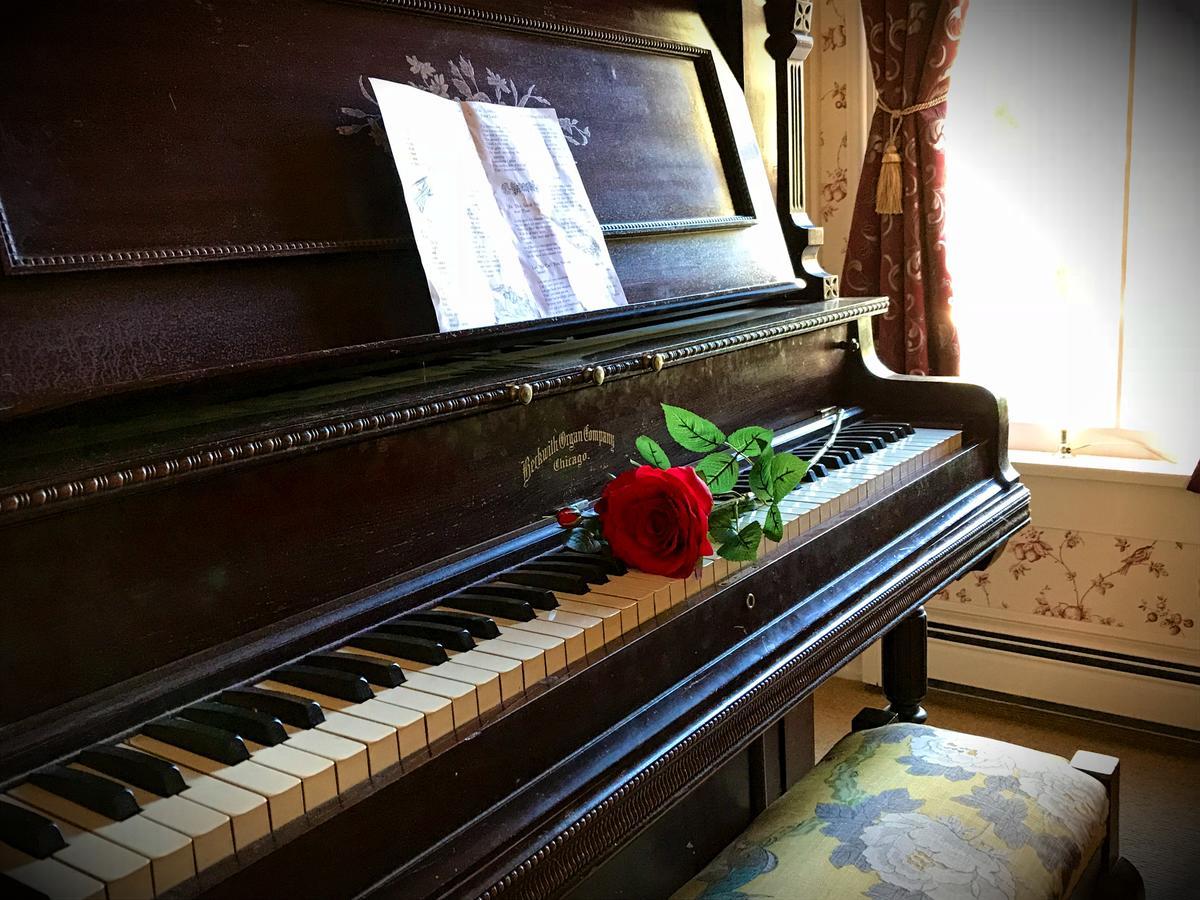 Rose Street Bed & Breakfast Джорджтаун Екстериор снимка